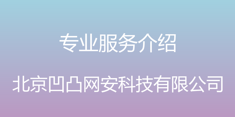 专业服务介绍 - 北京凹凸网安科技有限公司